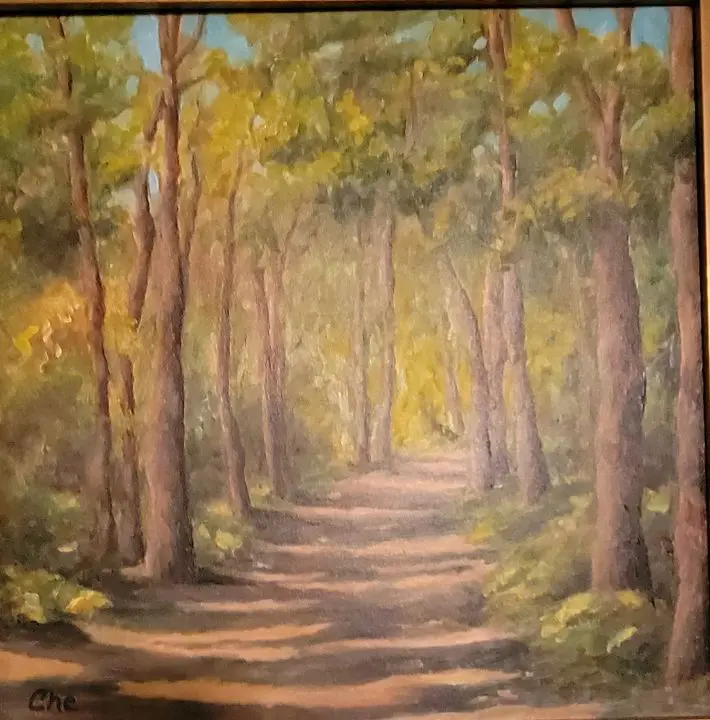 Forest pathway surrounded by tall trees