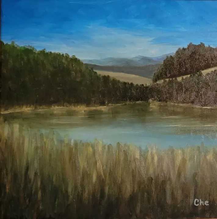 Scenic view with trees and hills