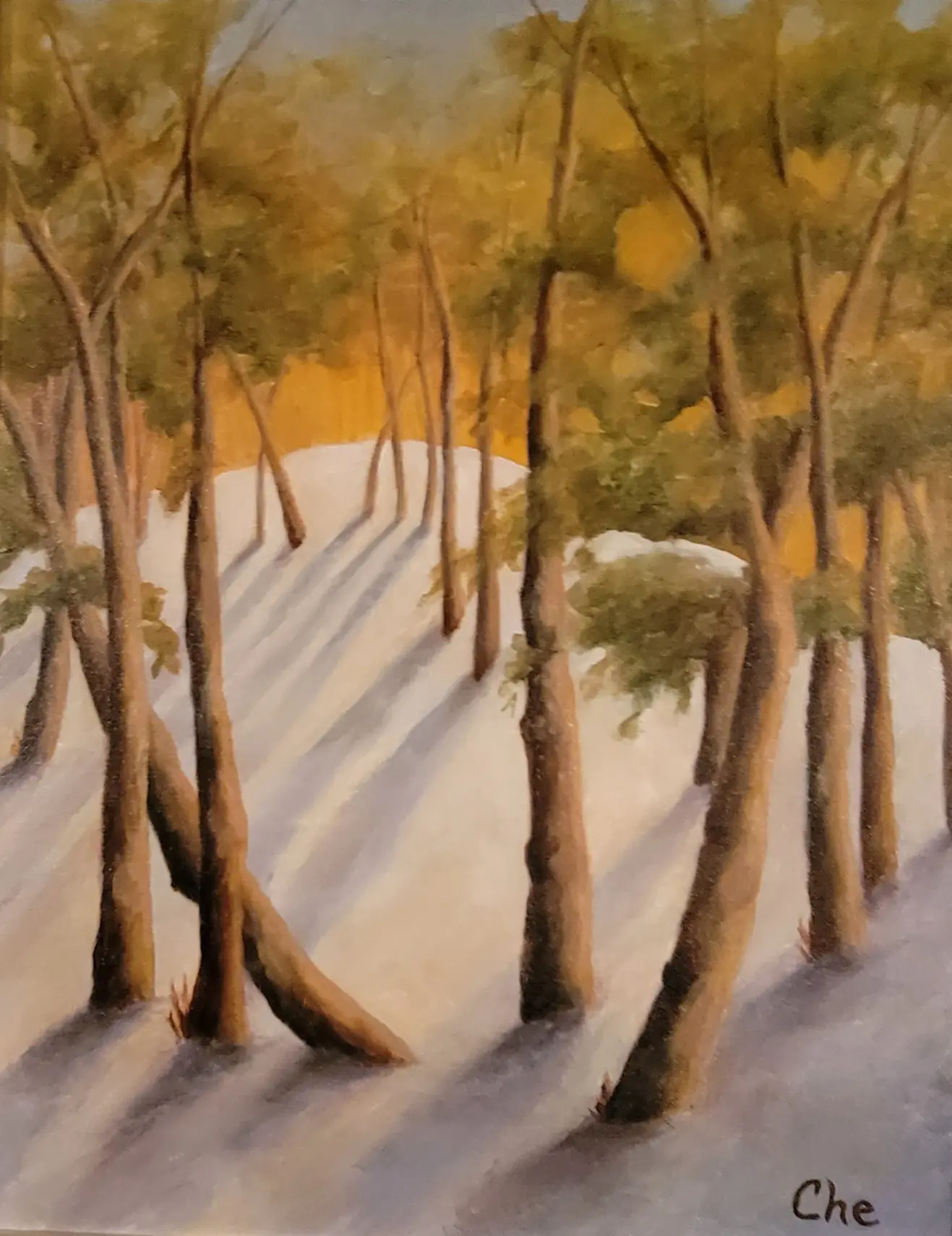Solitude of Snow